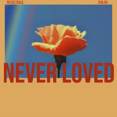 Never Loved (feat. Shiloh) - Single