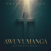 Awuvumanga (Ngomoya Wami) song art