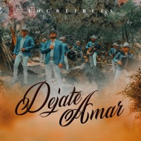 Déjate Amar - Single - Increibles