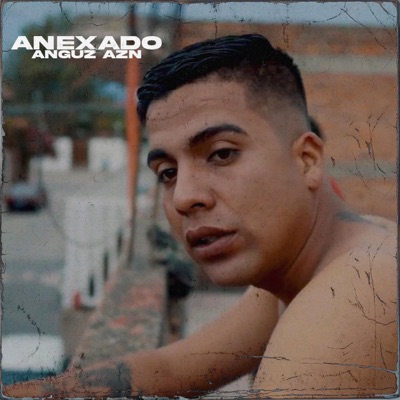 ANEXADO - Single