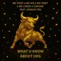 What U Know About UKG (feat. Genius Cru)