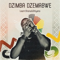 Dzimba Dzemabwe (feat. Oriyano) - Single - Learn Zimbabwe