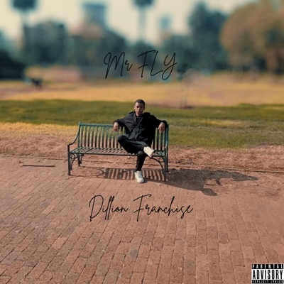 Mr Fly (feat. LK Syms) - Single