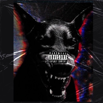 Slide (feat. R1) - Single