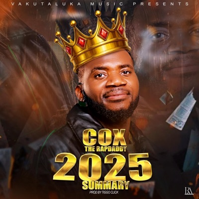 2025 Summary - Single