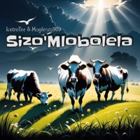 Sizo'Mlobolela (feat. Maglenzo909) - Single - IcetroTee