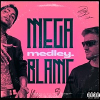 Mega Medley Blame - Single - Dj Ryan
