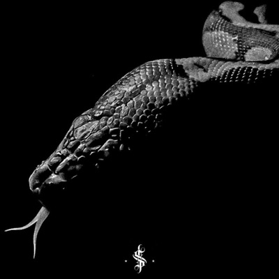 blackonblack - Single