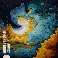 Divine - Single - Aron van Selm