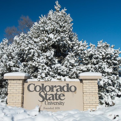 CSU (feat. 808 nami) - Single