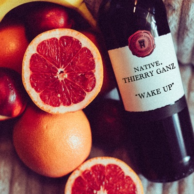 Wake Up (feat. Thierry Ganz) - Single