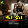Adesh Samaroo - Pet Rat artwork