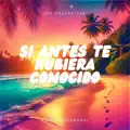 Si Antes Te Hubiera Conocido