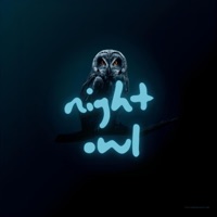Night Owl - Single - TheJBRD
