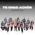 Te Digo Adios