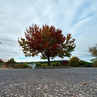 Permanence - Army of One