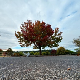 Have It Back (feat. Cruncle, Inzpire, Nick Lenton, Oliver Bate, Trey Dog Whistle, Chvrchbvrner & Souki Kismet) Army of One