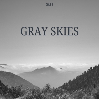 Gray Skies - Single