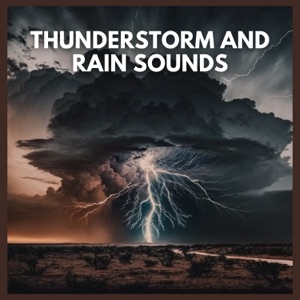 Thunderstorm and Rain Sounds (01)