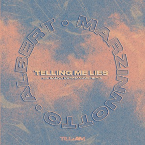 Telling Me Lies - Single