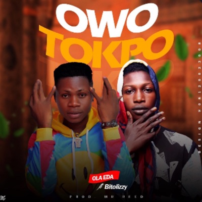 Owo Tokpo (feat. Bitolizzy) - Single