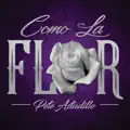 Como La Flor