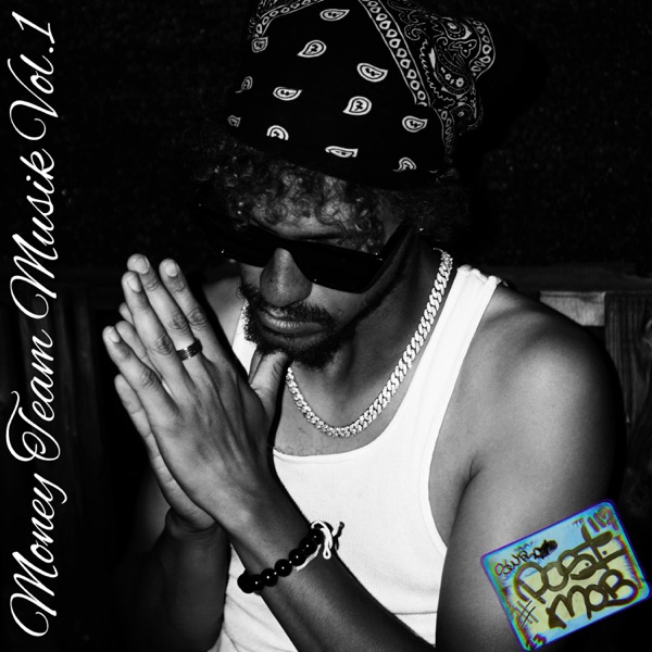 MONEY TEAM MUSIK, Vol. 1