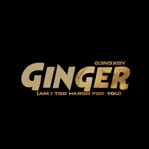 Ginger (Am i Too Harsh For You) [Speed up]