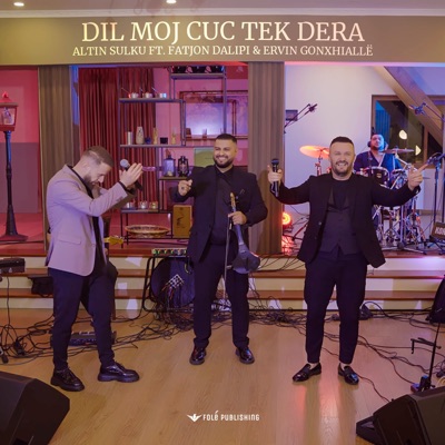 Dil moj cuc tek dera - Single