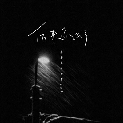 后来怎么了 - Single