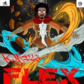 FLEX K. Willz