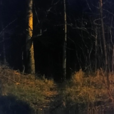 Hexán (feat. Illetéktelen) - Single