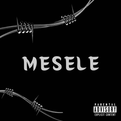 Mesele - Single