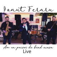 Am un puisor de brad acasa (Live) - Single - Ionut Feraru