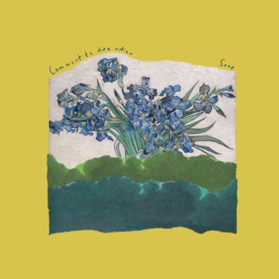 Comment te dire adieu - Single