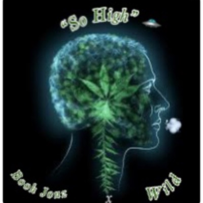 So High  (feat. Wild) [Remastered] - Single