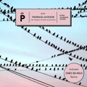 The Trance of Bird Watching (Chez de Milo Remix) artwork