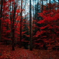 make me stay remix - Single - FVI$