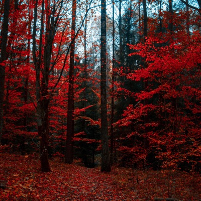 make me stay remix - Single