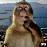 HIM/U - Single - reddglk