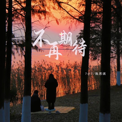 不再期待 - Single