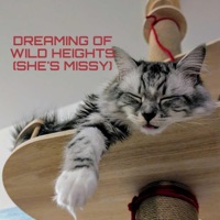 Dreaming of Wild Heights (She's Missy) - Single - Julefjollene