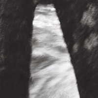 consortium - Single - Tullis