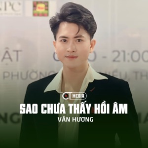 Sao Chưa Thấy Hồi Âm (Disco) - EP