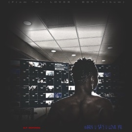 WHEN U SAY U LOVE ME G.P. Ekpendu