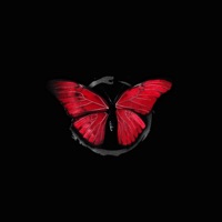 По кругу - Single - MONRAU