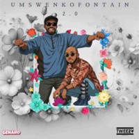 Umswenkofontain2.0 (feat. Tweezy) - Single - Hembe_genaro