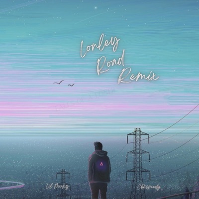 Lonely Road (feat. Cbkspeedy) [Remix] - Single