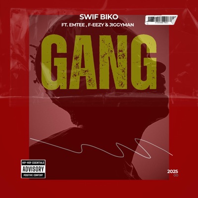 Gang (feat. Emtee, F-Eezy & Jiggyman) - Single