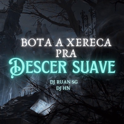 Bota a xereca pra desce suave (feat. DJ HN) - Single